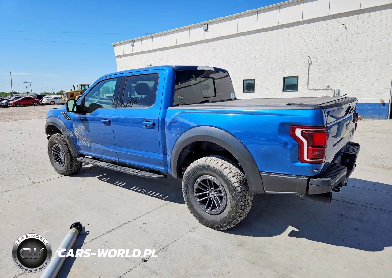 2019 Ford F150 Raptor VIN:1FTFW1RG8KFD18107 - 2
