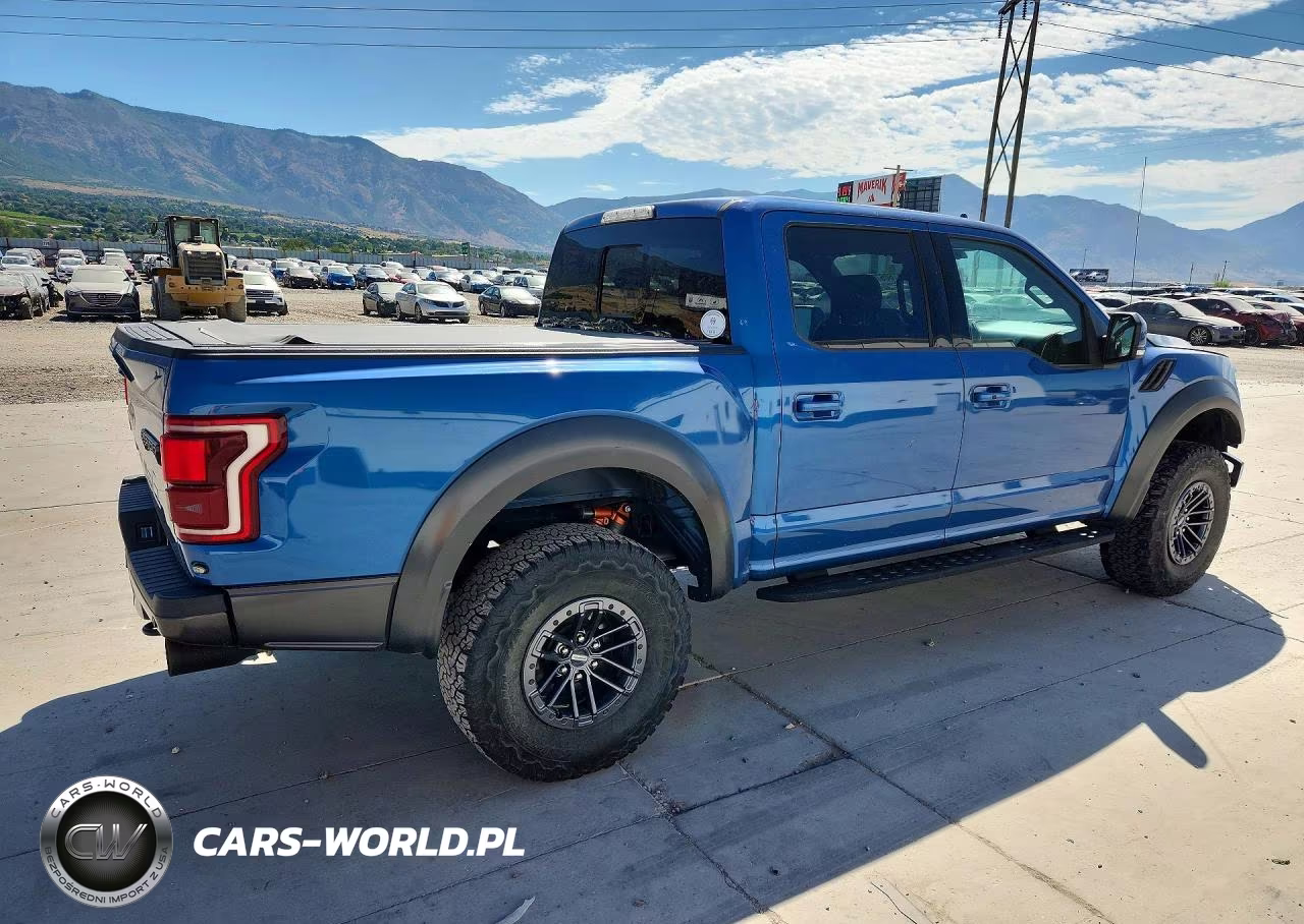 2019 Ford F150 Raptor VIN:1FTFW1RG8KFD18107 - 3
