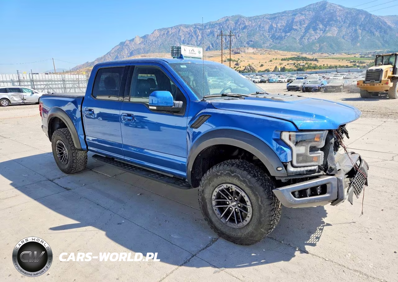 2019 Ford F150 Raptor VIN:1FTFW1RG8KFD18107 - 4