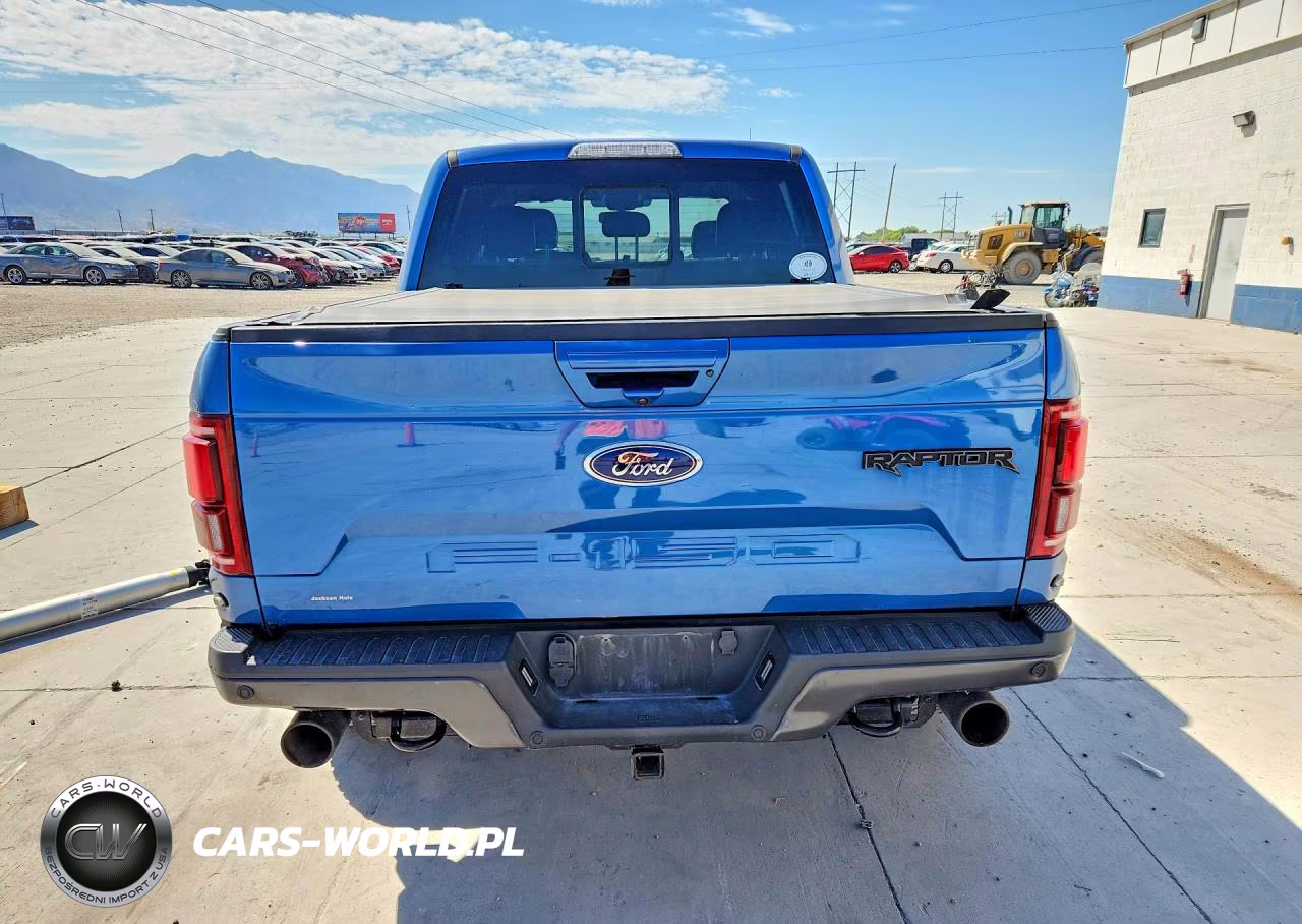 2019 Ford F150 Raptor VIN:1FTFW1RG8KFD18107 - 6