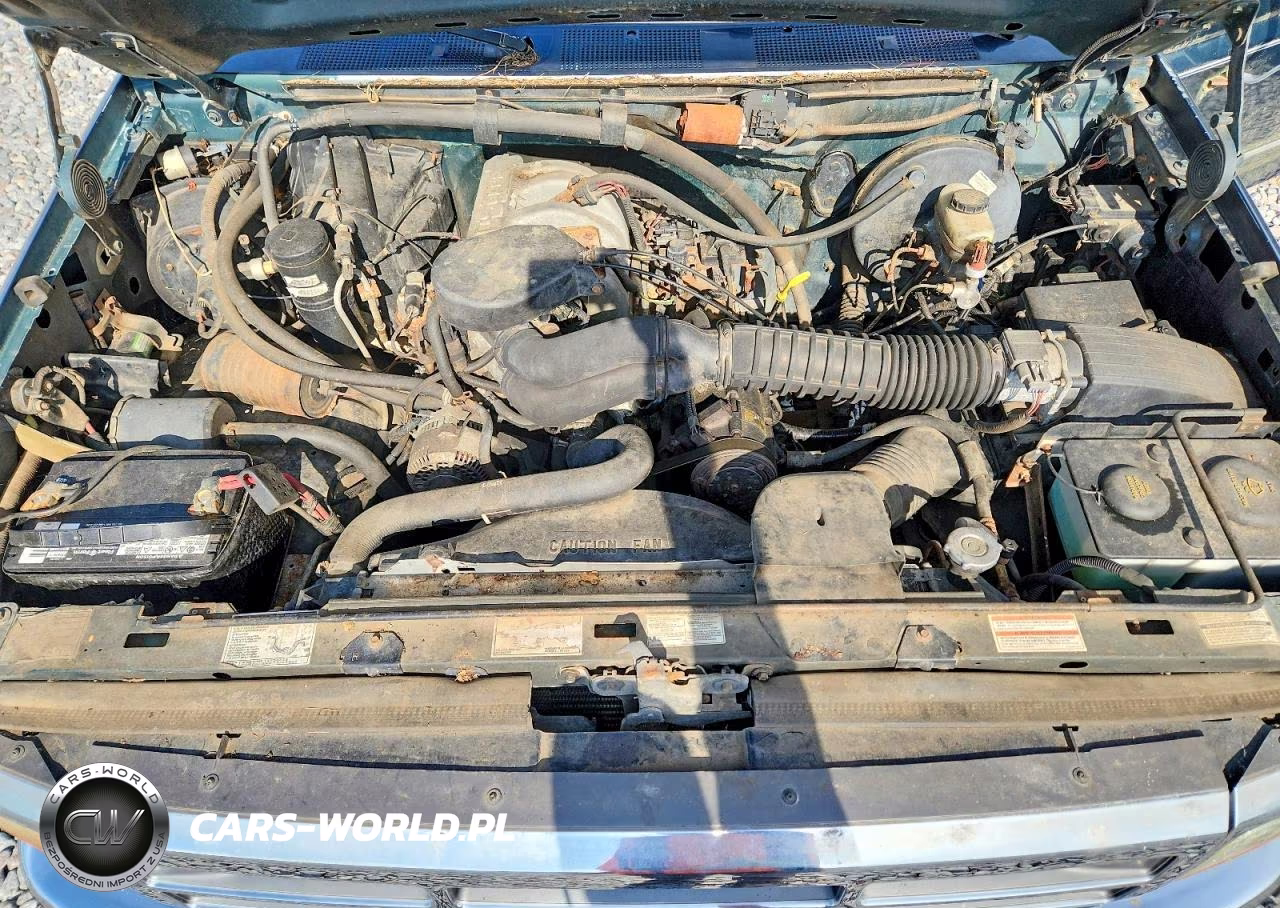 1994 Ford F-150 VIN:1FTEF14N6RLA56343 - 11