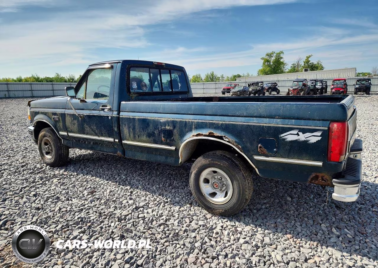 1994 Ford F-150 VIN:1FTEF14N6RLA56343 - 2