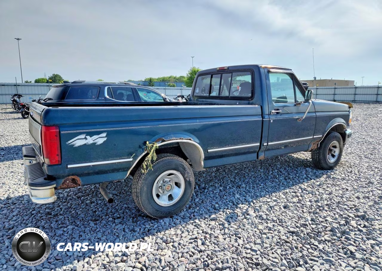 1994 Ford F-150 VIN:1FTEF14N6RLA56343 - 3