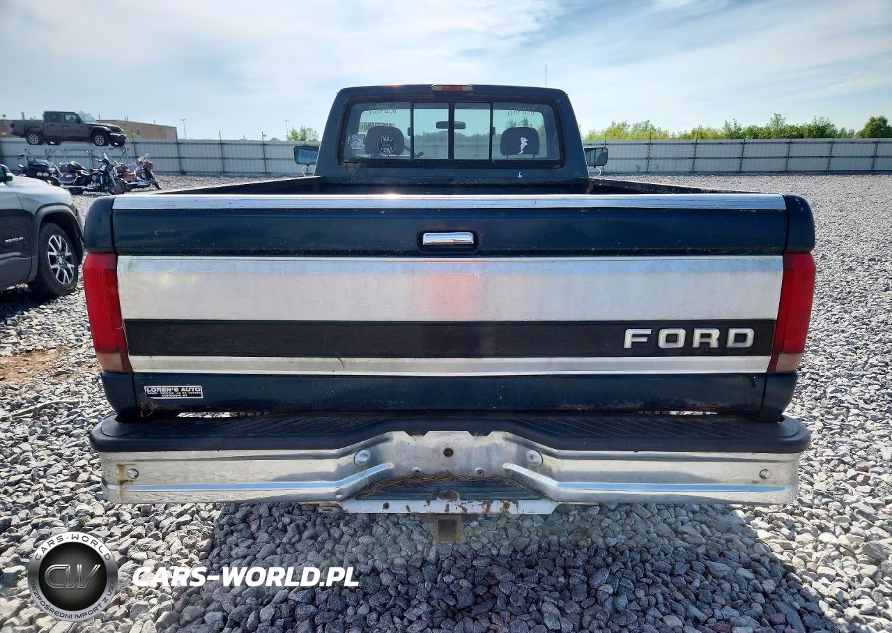 1994 Ford F-150 VIN:1FTEF14N6RLA56343 - 6