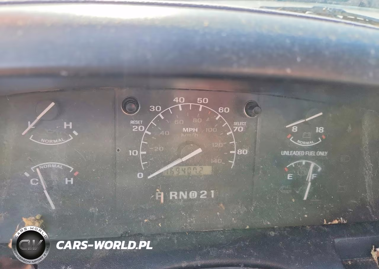 1994 Ford F-150 VIN:1FTEF14N6RLA56343 - 9
