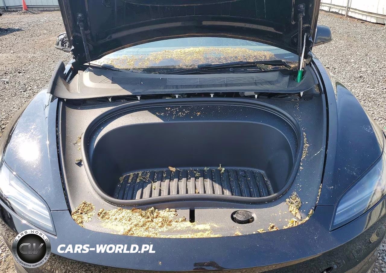 2024 Tesla Model 3 VIN:5YJ3E1EB8RF836779 - 11