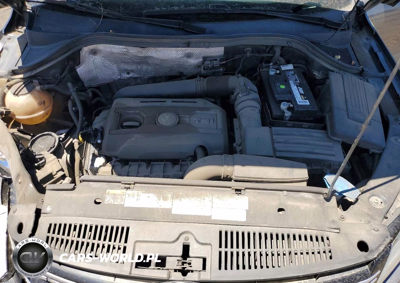 2015 Volkswagen Tiguan S VIN:WVGBV7AX1FW508204 - 11