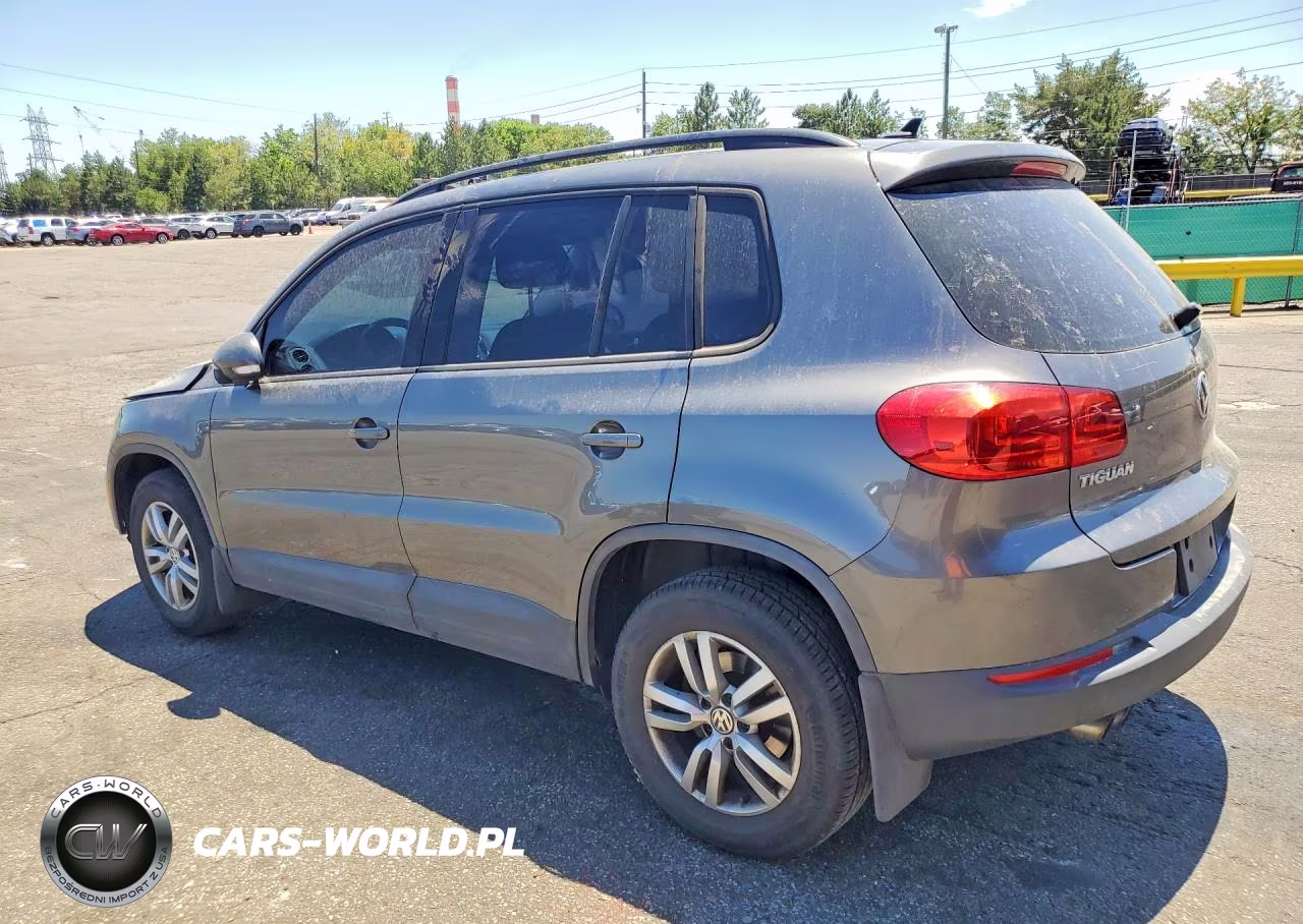 2015 Volkswagen Tiguan S VIN:WVGBV7AX1FW508204 - 2