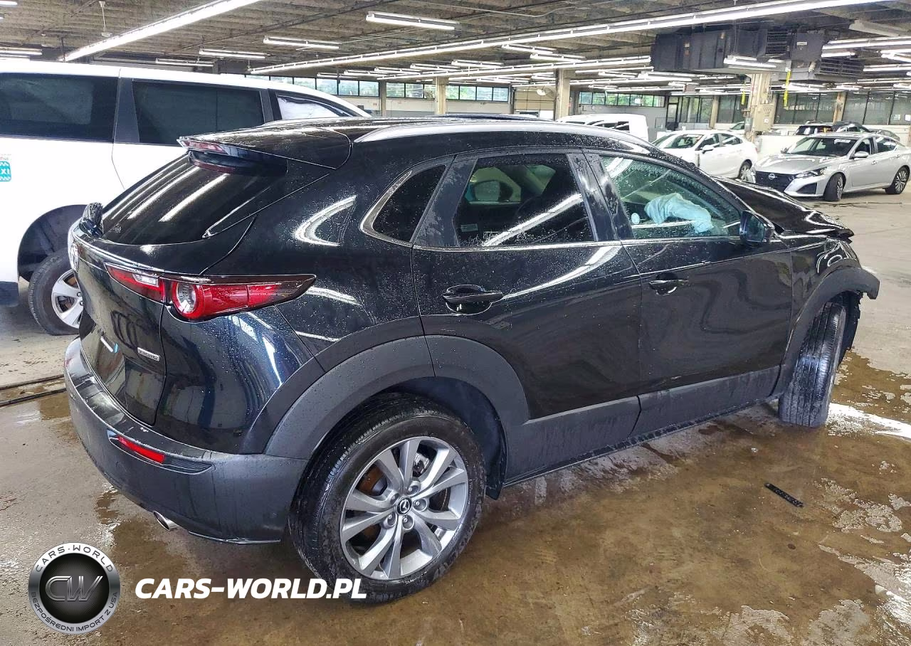 2025 Mazda Cx-30 Preferred VIN:3MVDMBCM5SM799174 - 3
