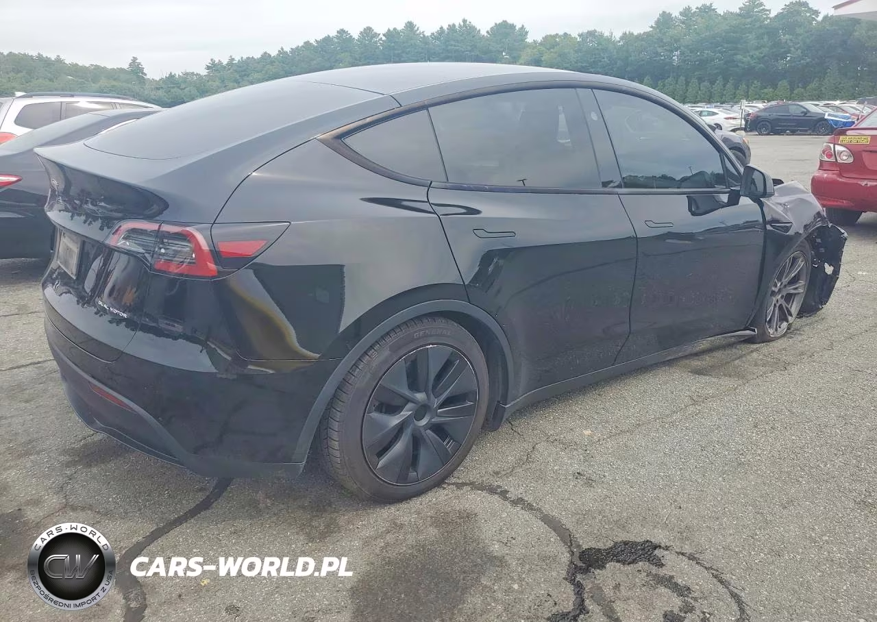 2024 Tesla Model Y VIN:7SAYGDEE5RA306832 - 3