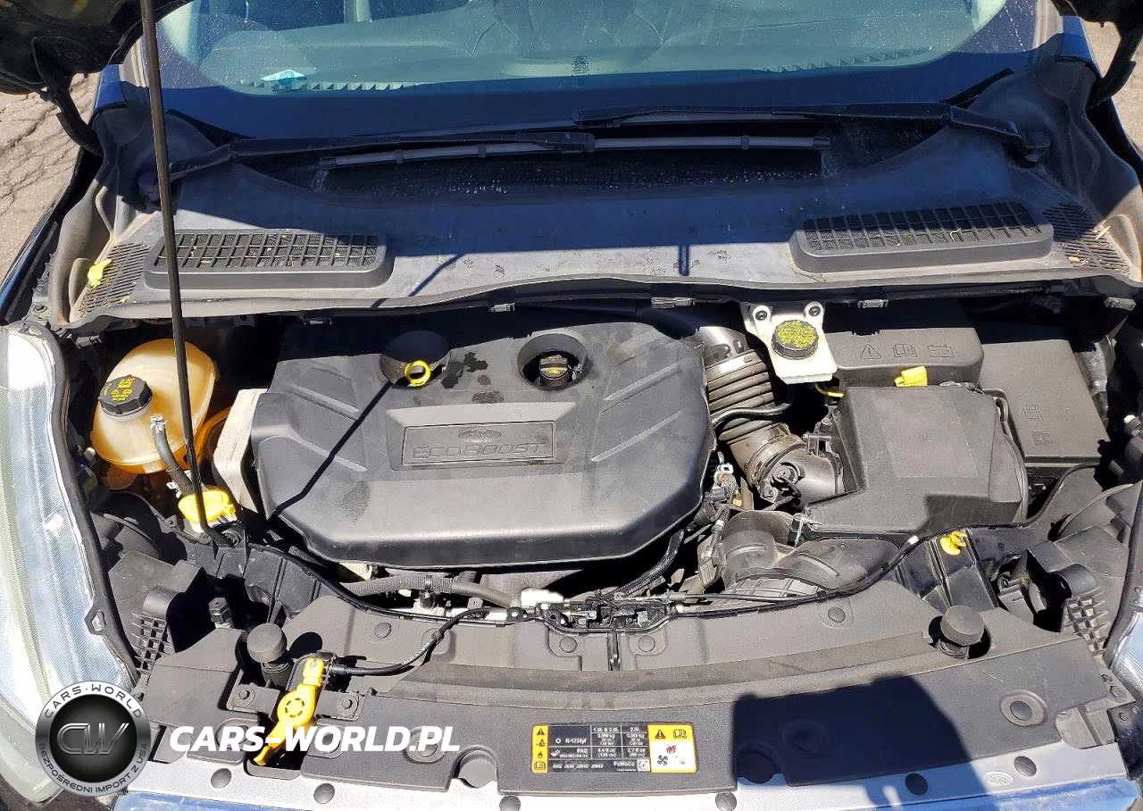 2017 Ford Escape Se VIN:1FMCU9G99HUA95474 - 12