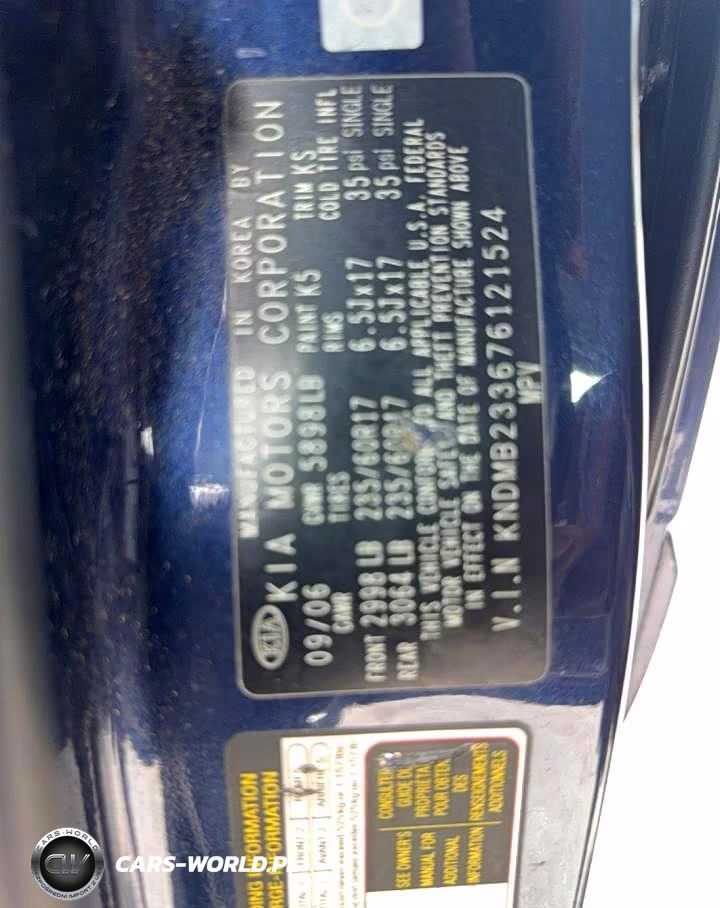 2007 Kia Sedona Base VIN:KNDMB233676121524 - 13