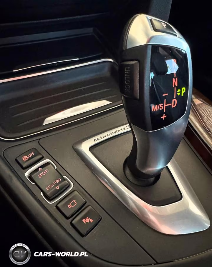 2013 BMW Activehybrid 3 VIN:WBA3F9C57DF484398 - 11