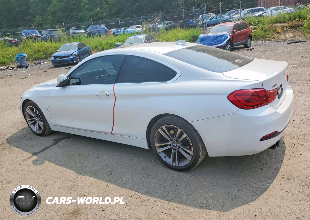 2019 BMW 430Xi VIN:WBA4W5C58KAE49816 - 2