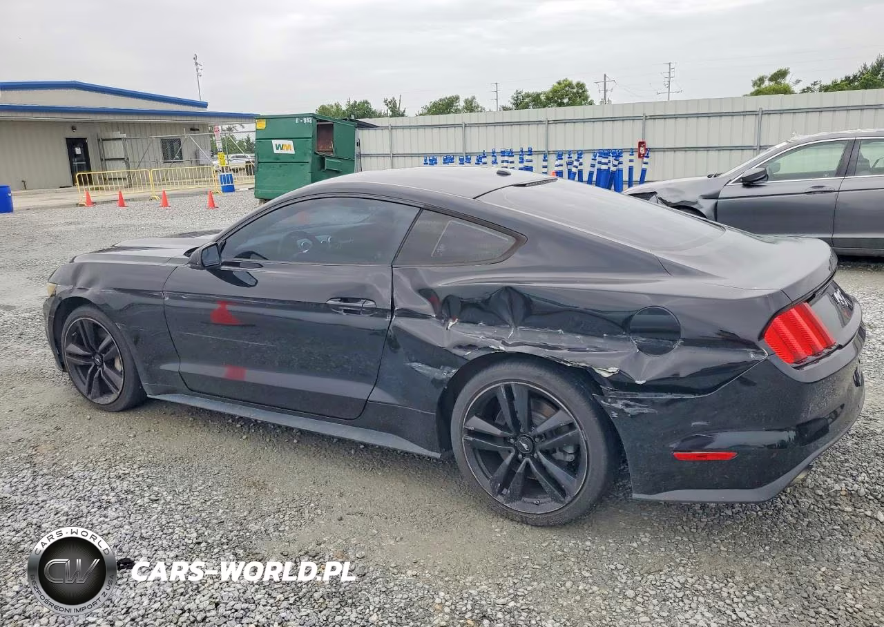 2017 Ford Mustang VIN:1FA6P8TH5H5230241 - 2