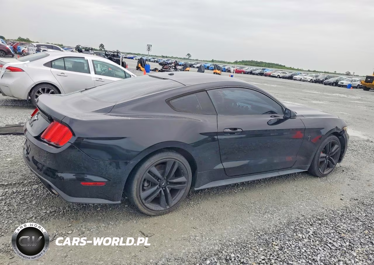 2017 Ford Mustang VIN:1FA6P8TH5H5230241 - 3