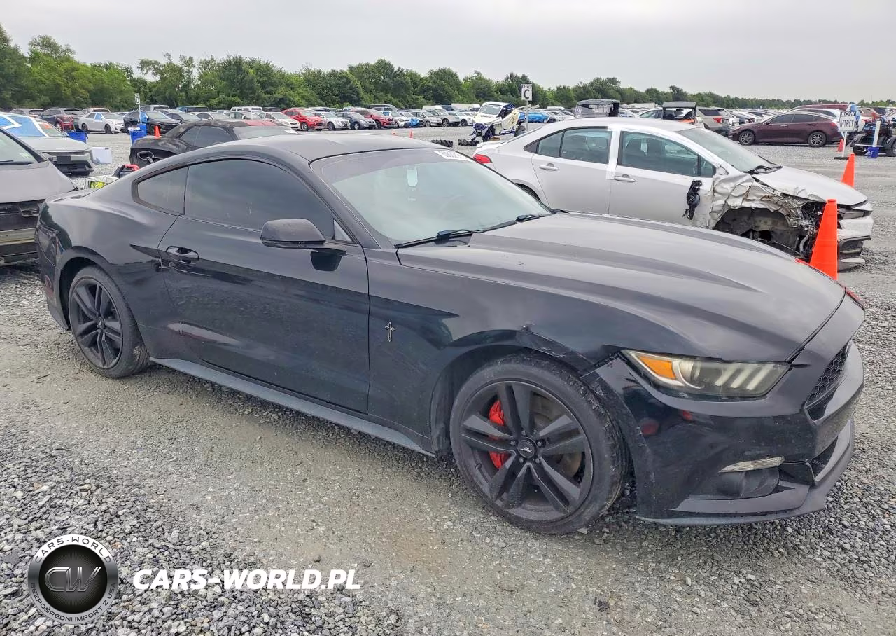 2017 Ford Mustang VIN:1FA6P8TH5H5230241 - 4