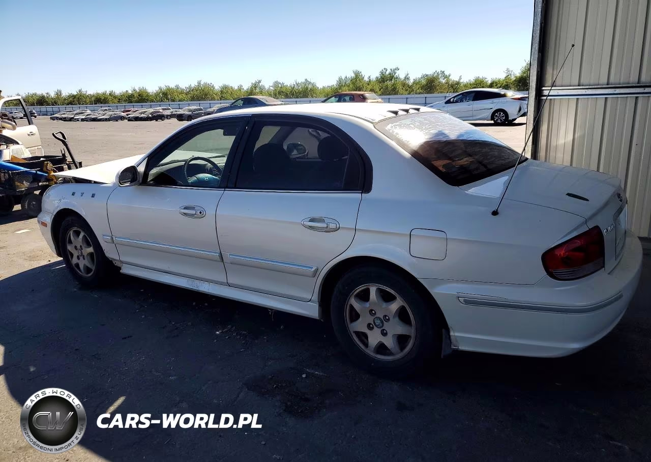 2004 Hyundai Sonata Gls VIN:KMHWF35HX4A964979 - 2