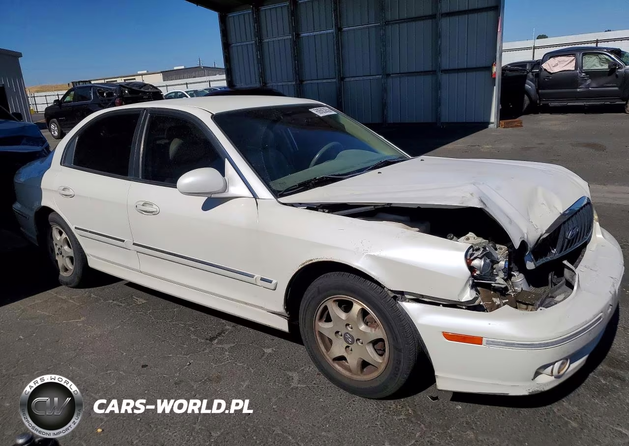 2004 Hyundai Sonata Gls VIN:KMHWF35HX4A964979 - 4