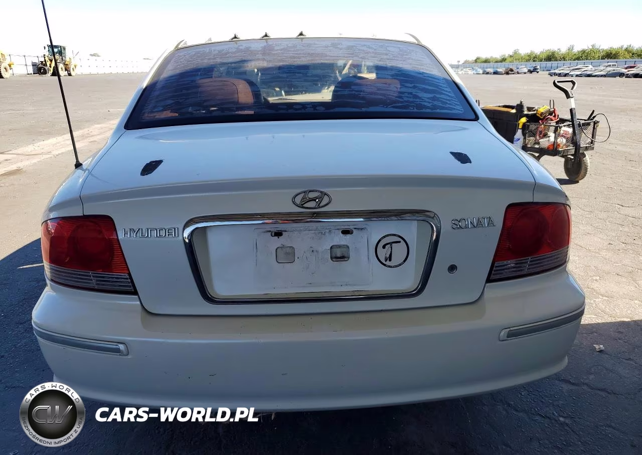 2004 Hyundai Sonata Gls VIN:KMHWF35HX4A964979 - 6