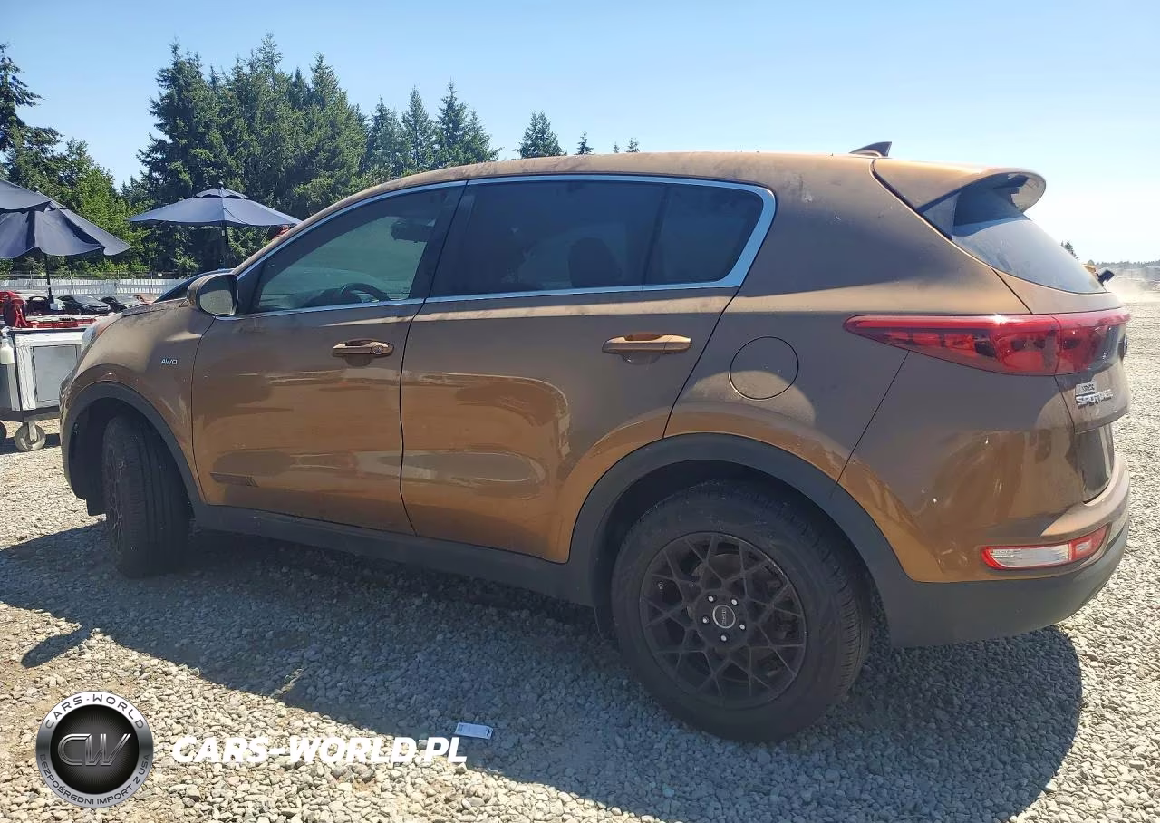 2017 Kia Sportage Lx VIN:KNDPMCAC8H7130124 - 2