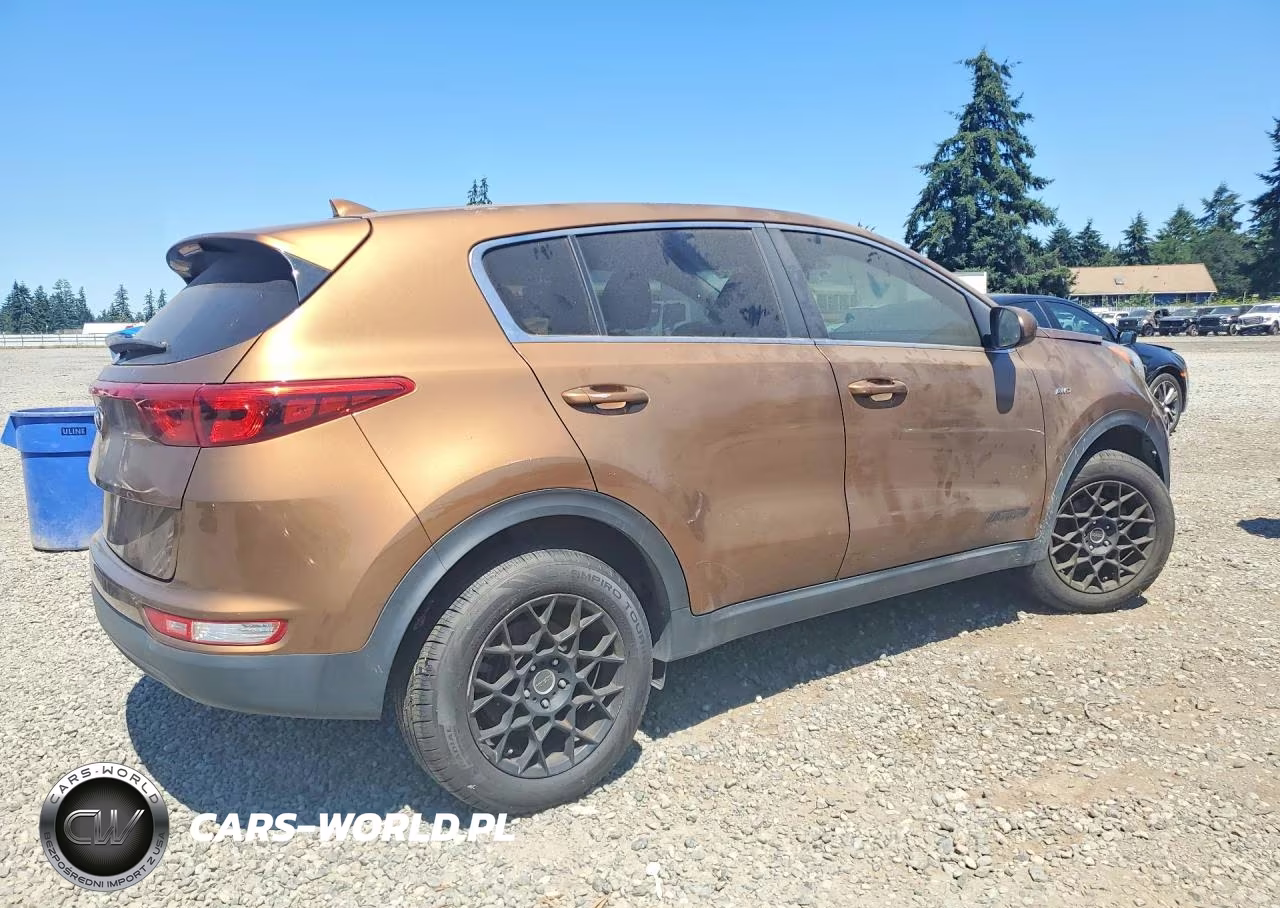 2017 Kia Sportage Lx VIN:KNDPMCAC8H7130124 - 3