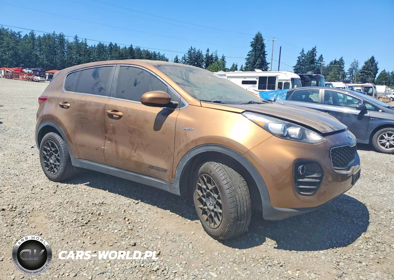 2017 Kia Sportage Lx VIN:KNDPMCAC8H7130124 - 4