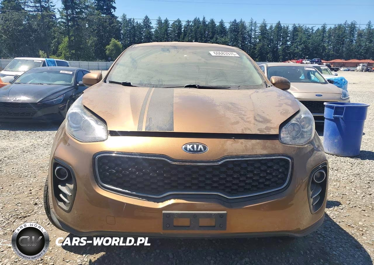 2017 Kia Sportage Lx VIN:KNDPMCAC8H7130124 - 5
