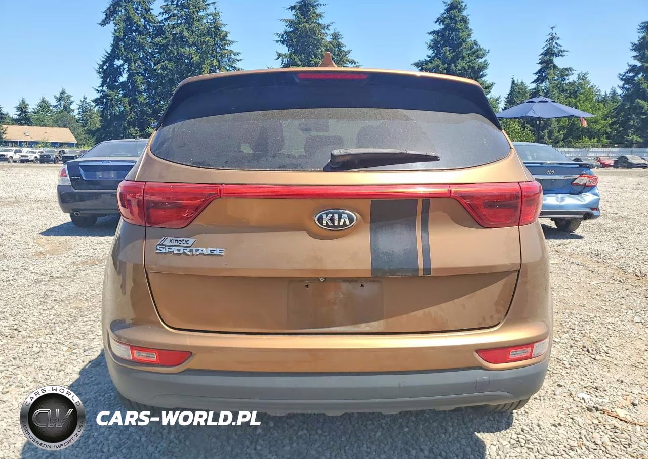 2017 Kia Sportage Lx VIN:KNDPMCAC8H7130124 - 6