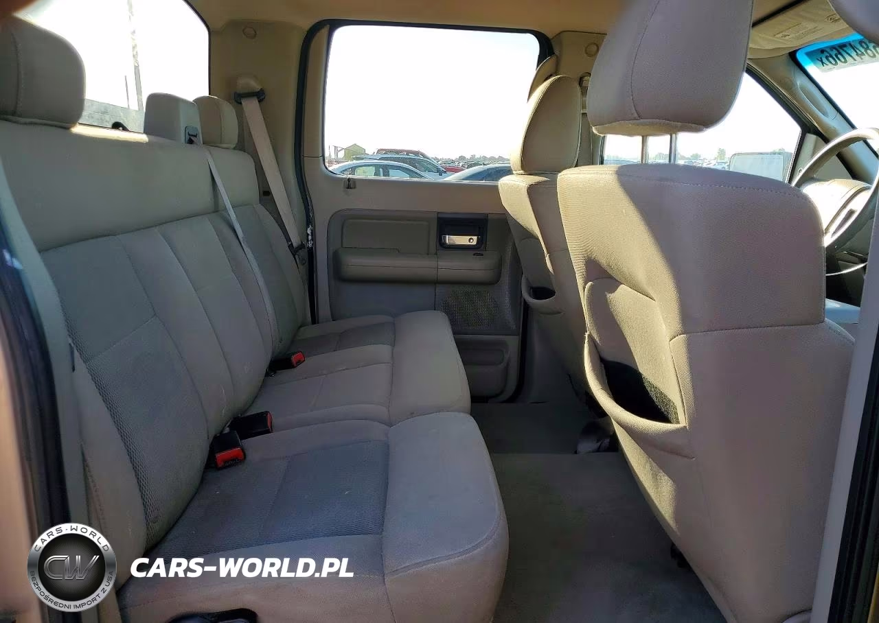2006 Ford F150 Supercrew VIN:1FTRW12W86KD29281 - 10
