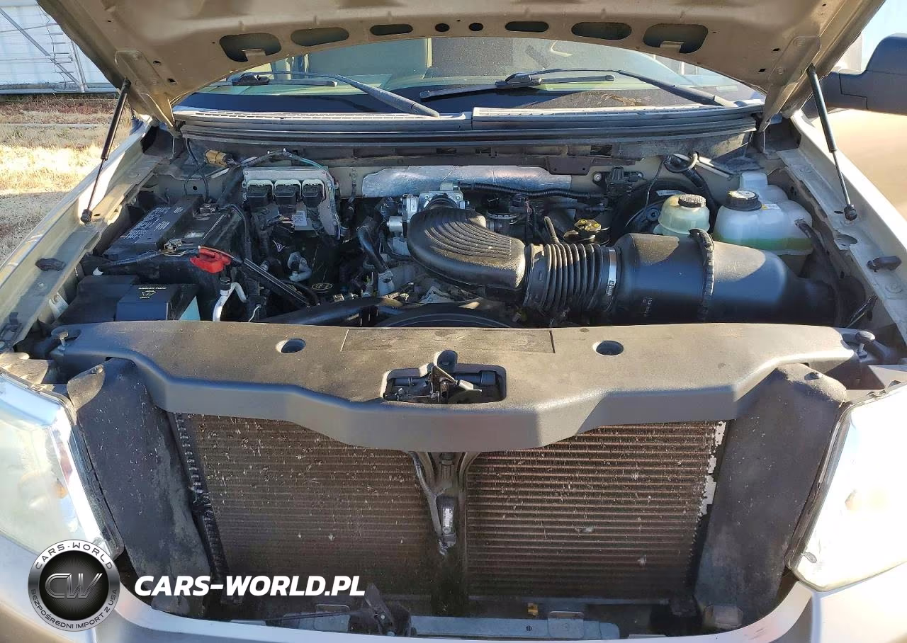 2006 Ford F150 Supercrew VIN:1FTRW12W86KD29281 - 11