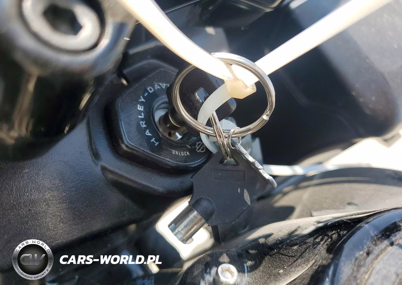 2024 Harley-Davidson Fltrx VIN:1HD1KH714RB641258 - 8