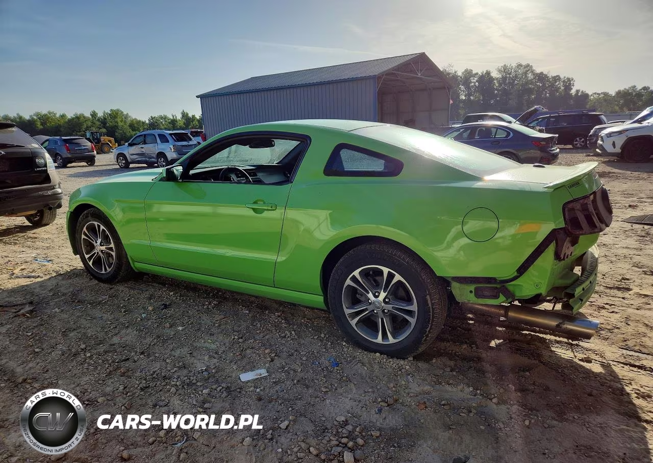 2014 Ford Mustang VIN:1ZVBP8AM2E5202107 - 2