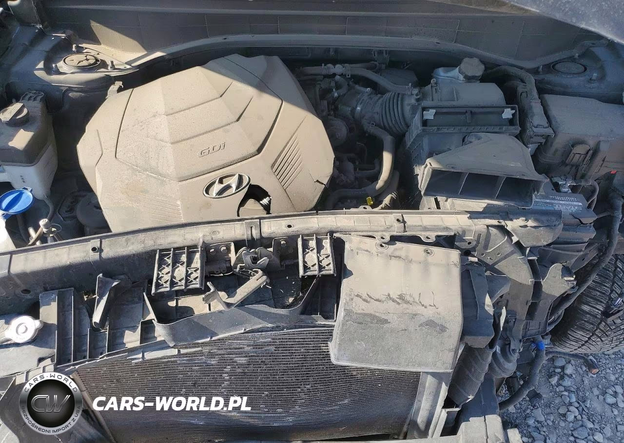 2020 Hyundai Palisade Sel VIN:KM8R4DHE8LU054867 - 11
