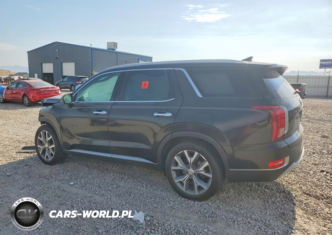 2020 Hyundai Palisade Sel VIN:KM8R4DHE8LU054867 - 2
