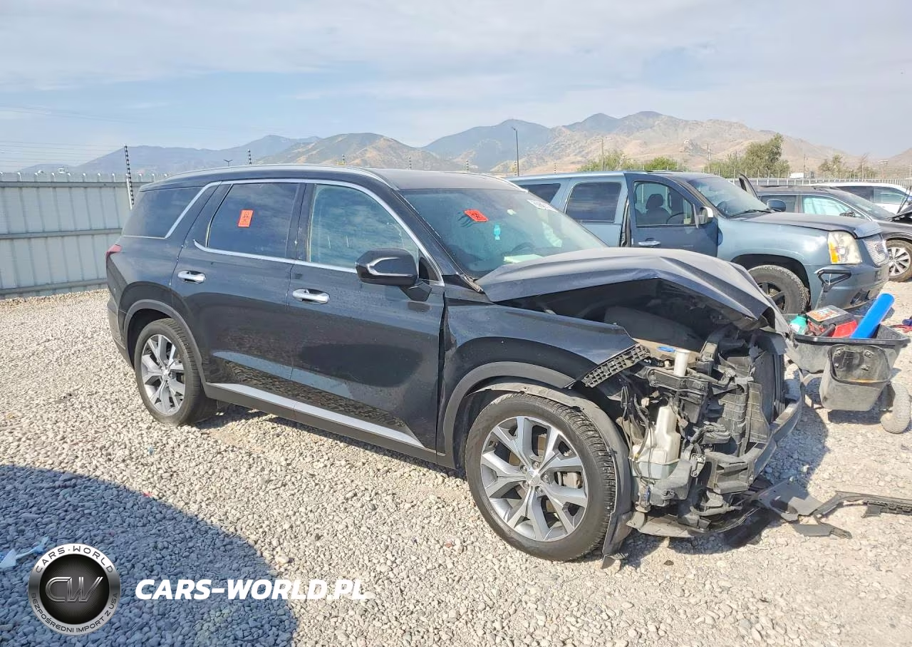 2020 Hyundai Palisade Sel VIN:KM8R4DHE8LU054867 - 4