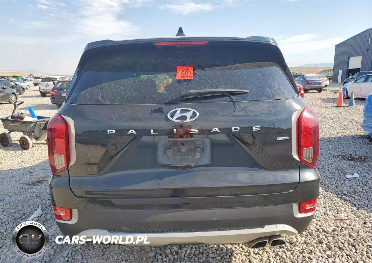 2020 Hyundai Palisade Sel VIN:KM8R4DHE8LU054867 - 6