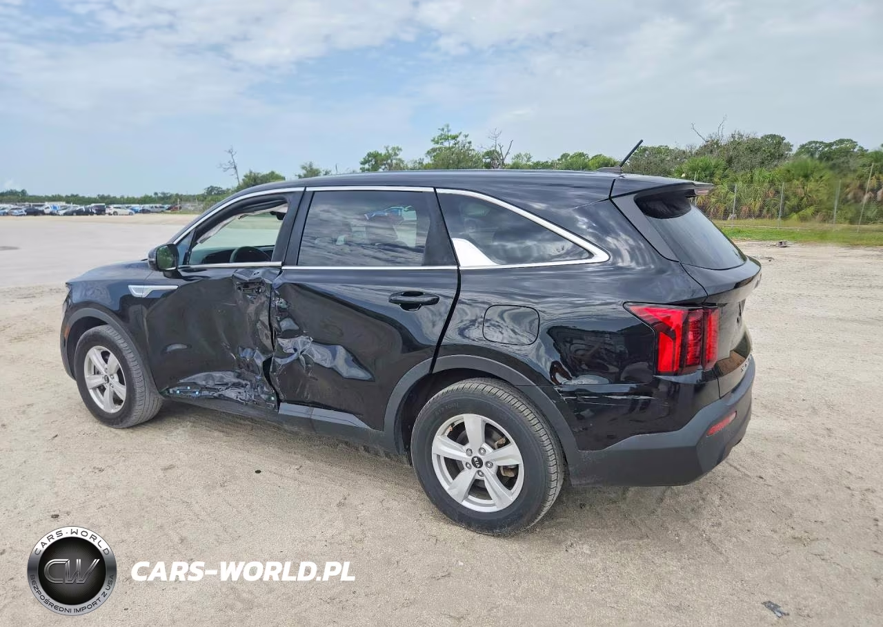 2021 Kia Sorento Lx VIN:5XYRG4LC1MG047196 - 2