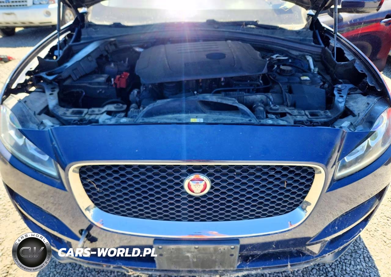 2018 Jaguar F-Pace Premium VIN:SADCJ2FN7JA279018 - 12
