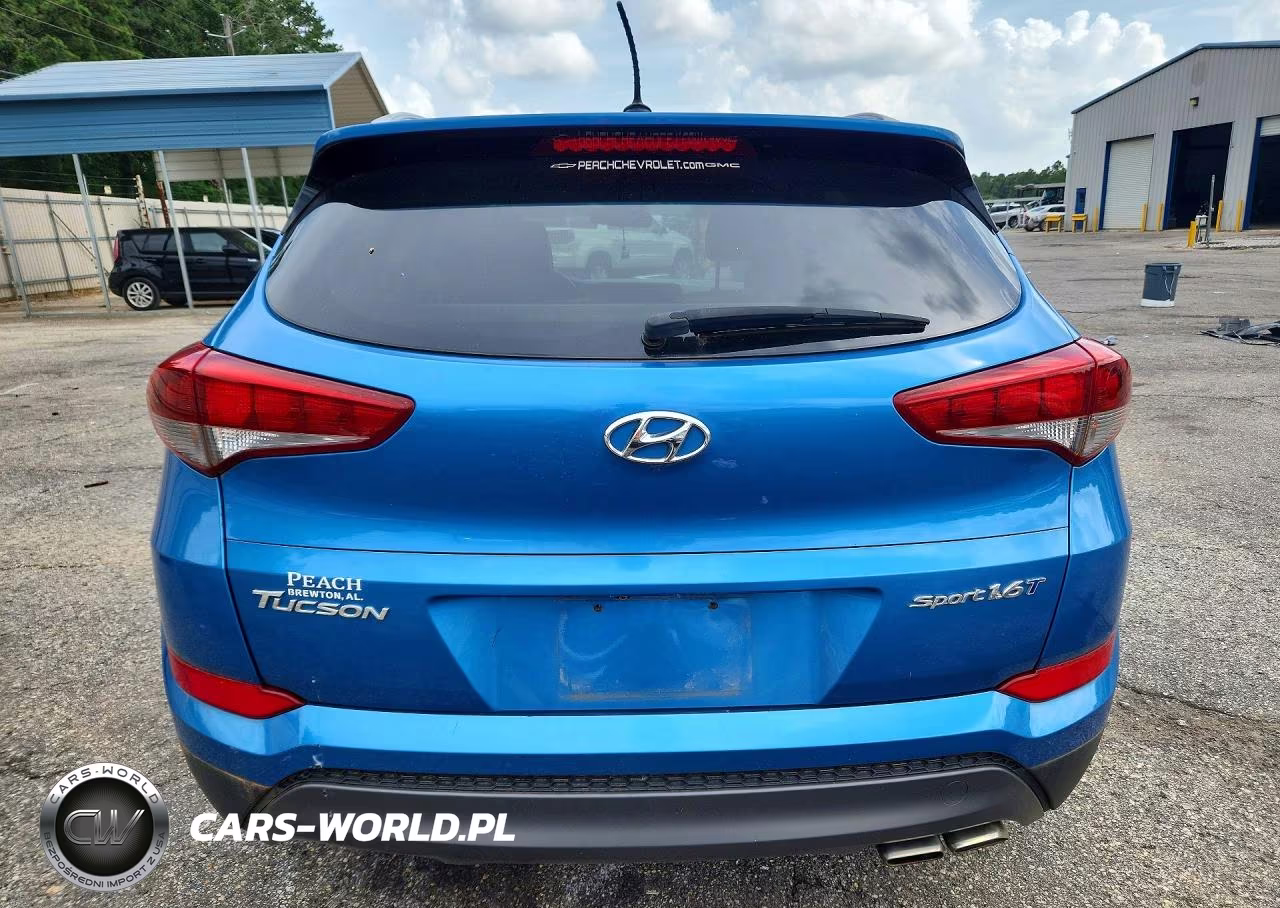 2016 Hyundai Tucson Sport VIN:KM8J33A21GU095406 - 6