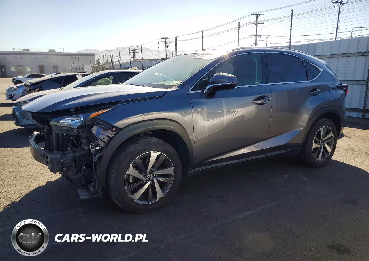 2019 Lexus Nx 300 Base