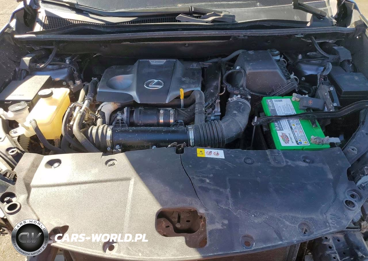2019 Lexus Nx 300 Base VIN:JTJBARBZ0K2187265 - 12