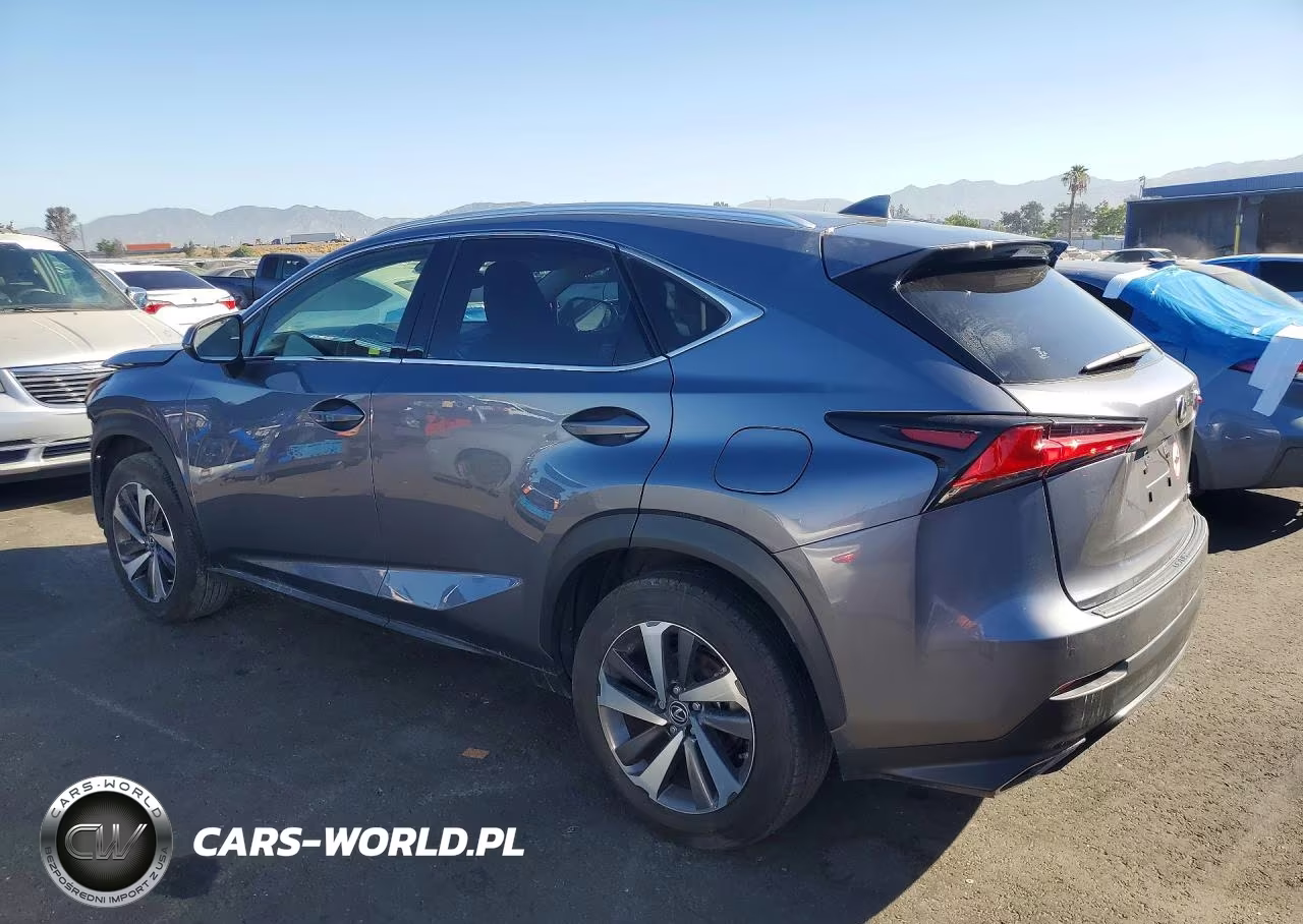 2019 Lexus Nx 300 Base VIN:JTJBARBZ0K2187265 - 2