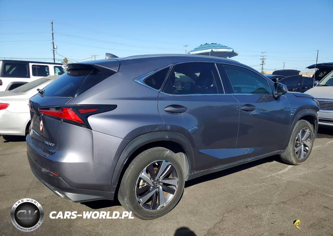 2019 Lexus Nx 300 Base VIN:JTJBARBZ0K2187265 - 3
