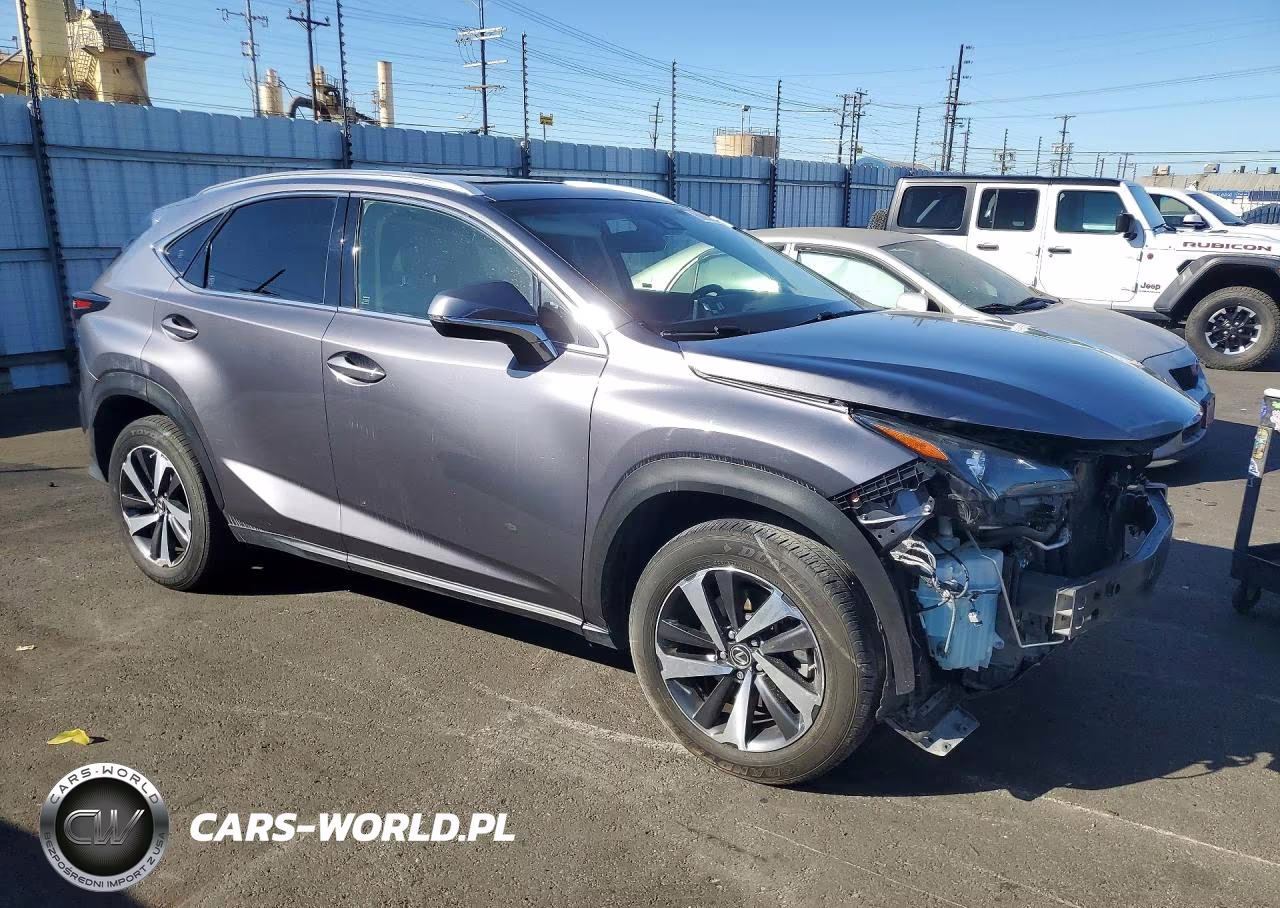 2019 Lexus Nx 300 Base VIN:JTJBARBZ0K2187265 - 4