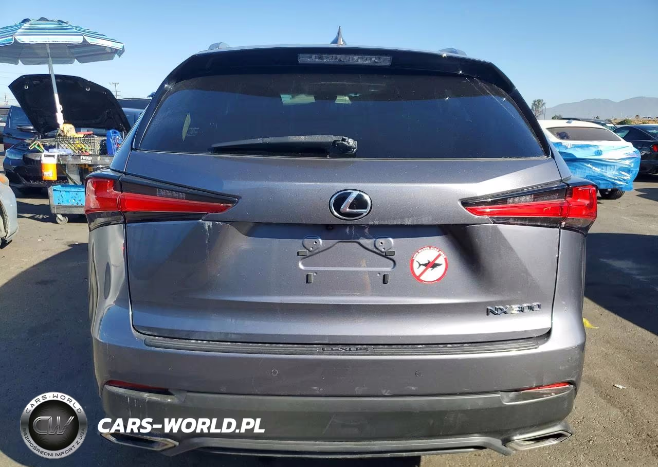 2019 Lexus Nx 300 Base VIN:JTJBARBZ0K2187265 - 6