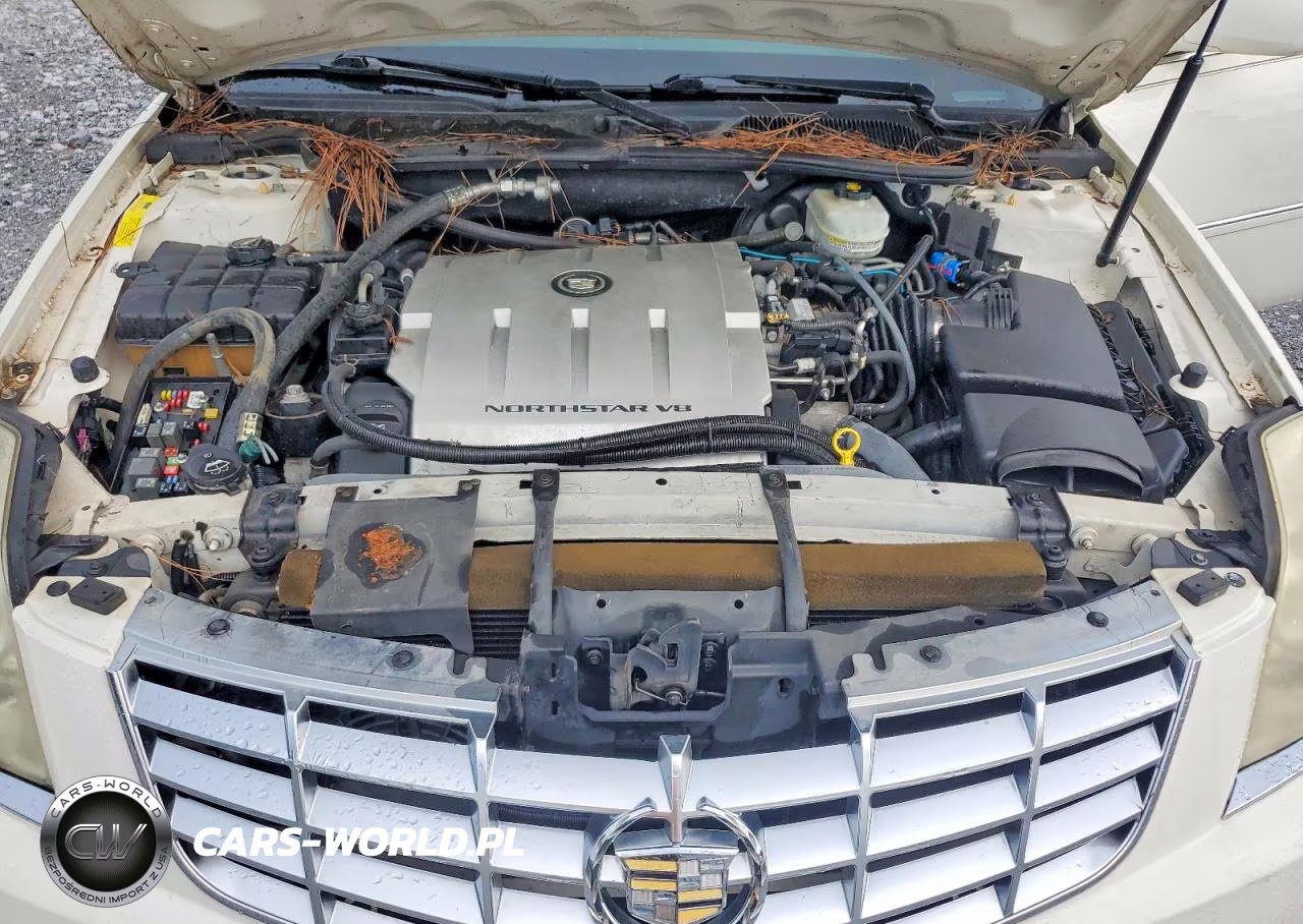 2009 Cadillac Professional Chassis VIN:1GEEK90Y49U550065 - 11