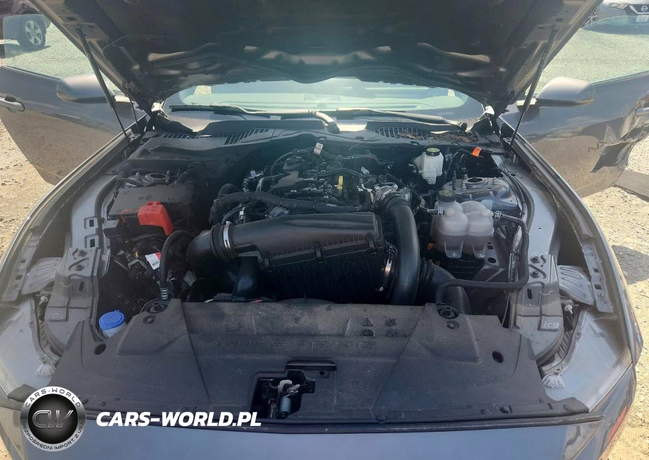 2024 Ford Mustang VIN:1FA6P8TH9R5129348 - 11