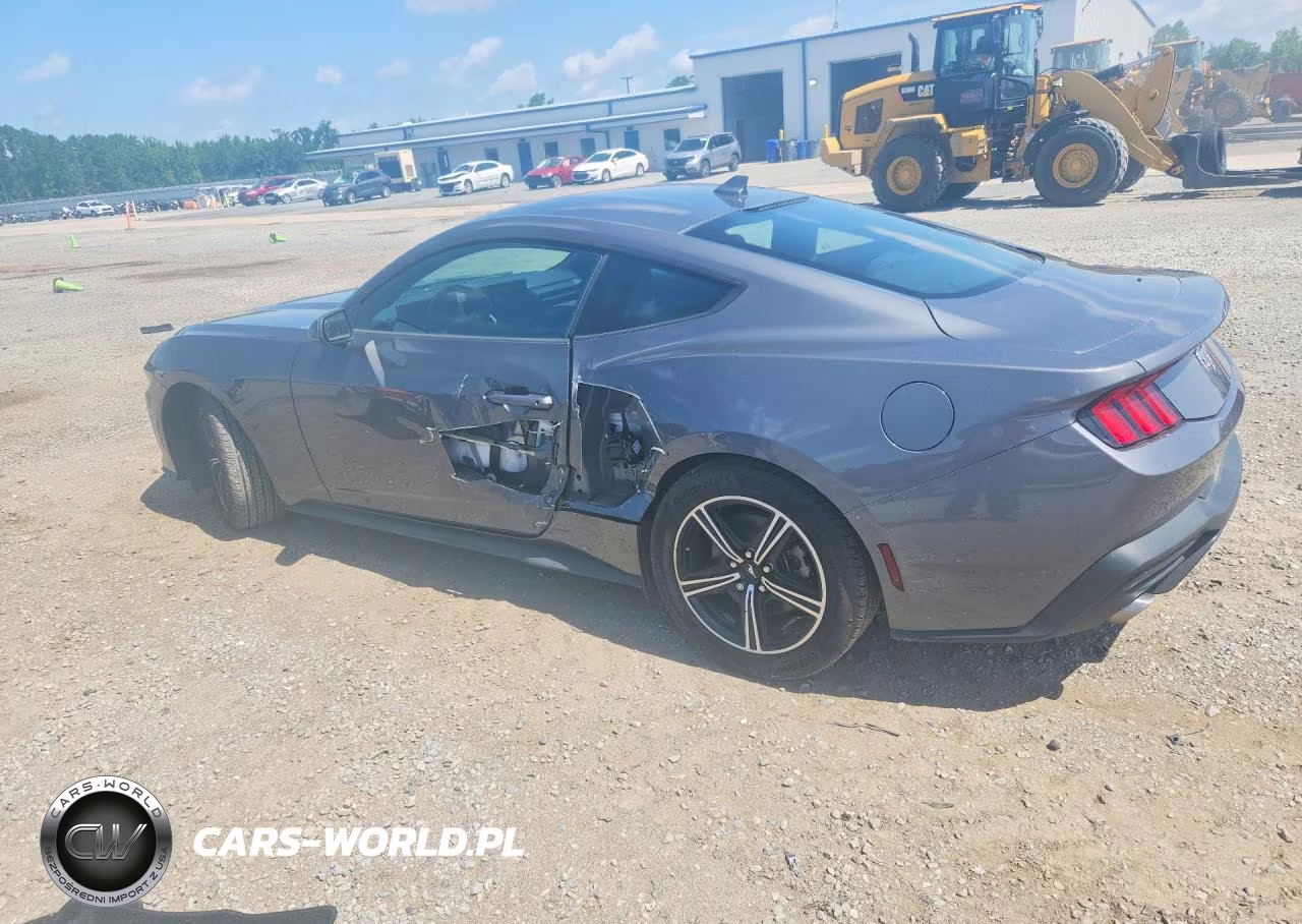 2024 Ford Mustang VIN:1FA6P8TH9R5129348 - 2