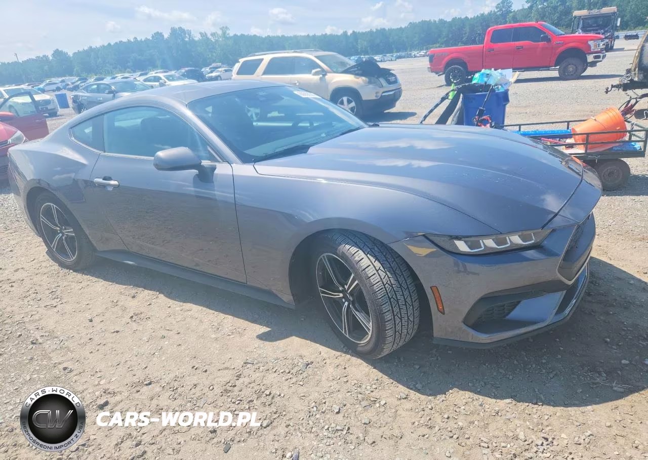 2024 Ford Mustang VIN:1FA6P8TH9R5129348 - 4